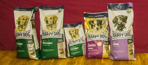 Happy Dog-9817